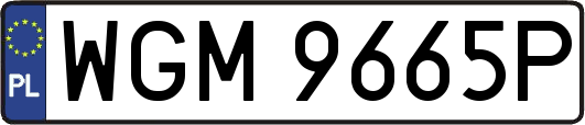 WGM9665P