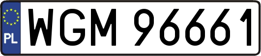 WGM96661