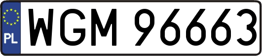 WGM96663