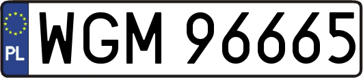 WGM96665