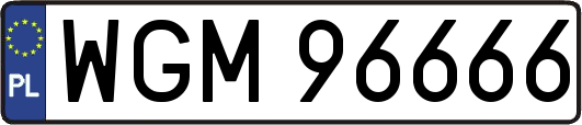 WGM96666