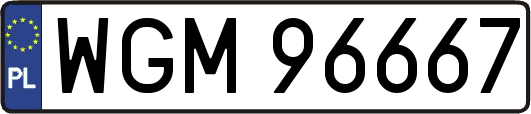 WGM96667