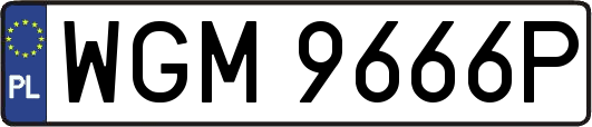 WGM9666P