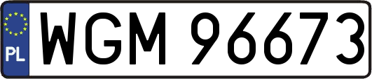 WGM96673