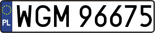 WGM96675