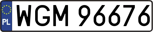 WGM96676