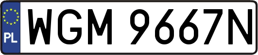 WGM9667N