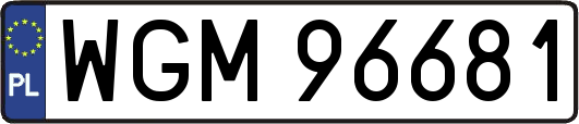 WGM96681