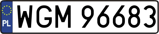 WGM96683