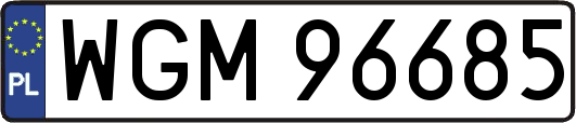 WGM96685