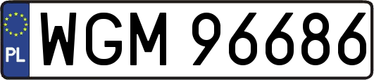 WGM96686