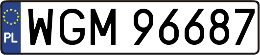 WGM96687