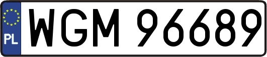 WGM96689