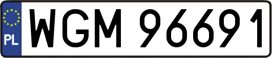 WGM96691