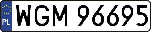 WGM96695