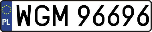 WGM96696