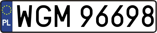 WGM96698