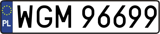 WGM96699