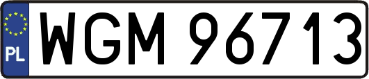 WGM96713