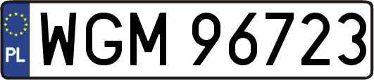 WGM96723