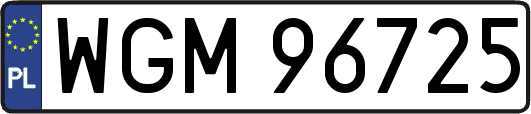 WGM96725