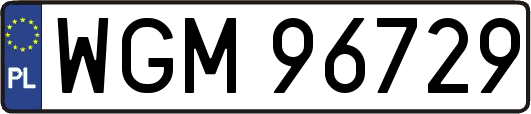 WGM96729