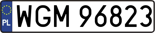 WGM96823