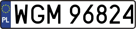 WGM96824