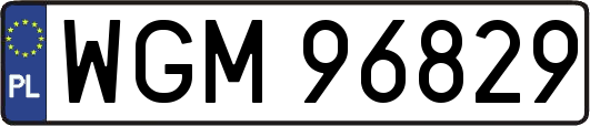 WGM96829