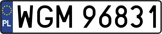 WGM96831