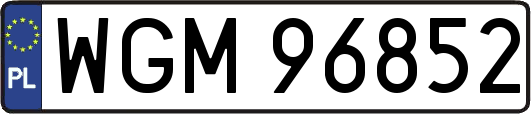 WGM96852