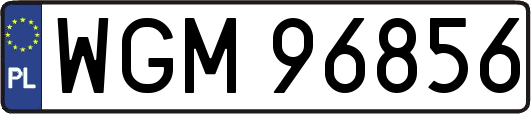 WGM96856