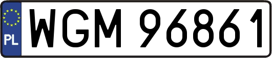 WGM96861