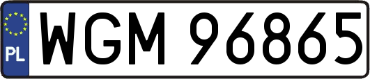 WGM96865
