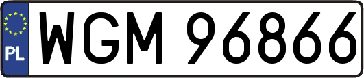 WGM96866
