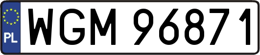 WGM96871