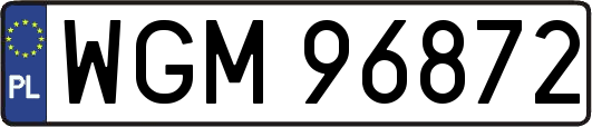 WGM96872