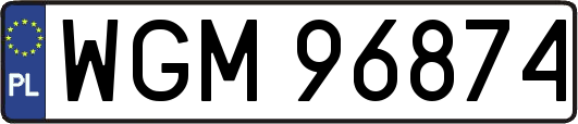 WGM96874