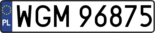 WGM96875