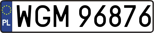 WGM96876