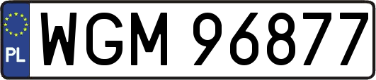 WGM96877