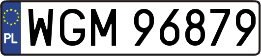 WGM96879