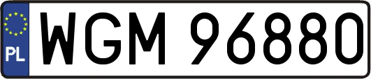 WGM96880