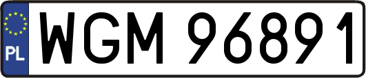 WGM96891