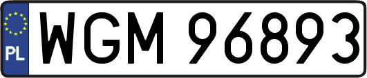 WGM96893