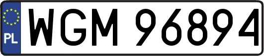 WGM96894