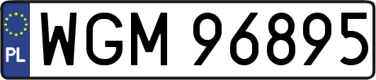 WGM96895