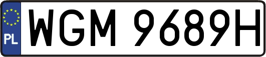 WGM9689H