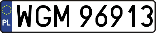 WGM96913