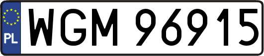 WGM96915